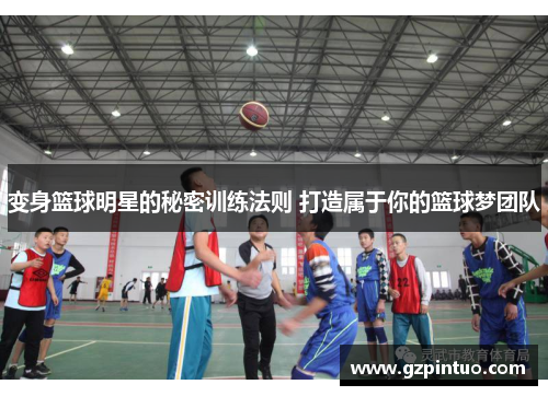 变身篮球明星的秘密训练法则 打造属于你的篮球梦团队